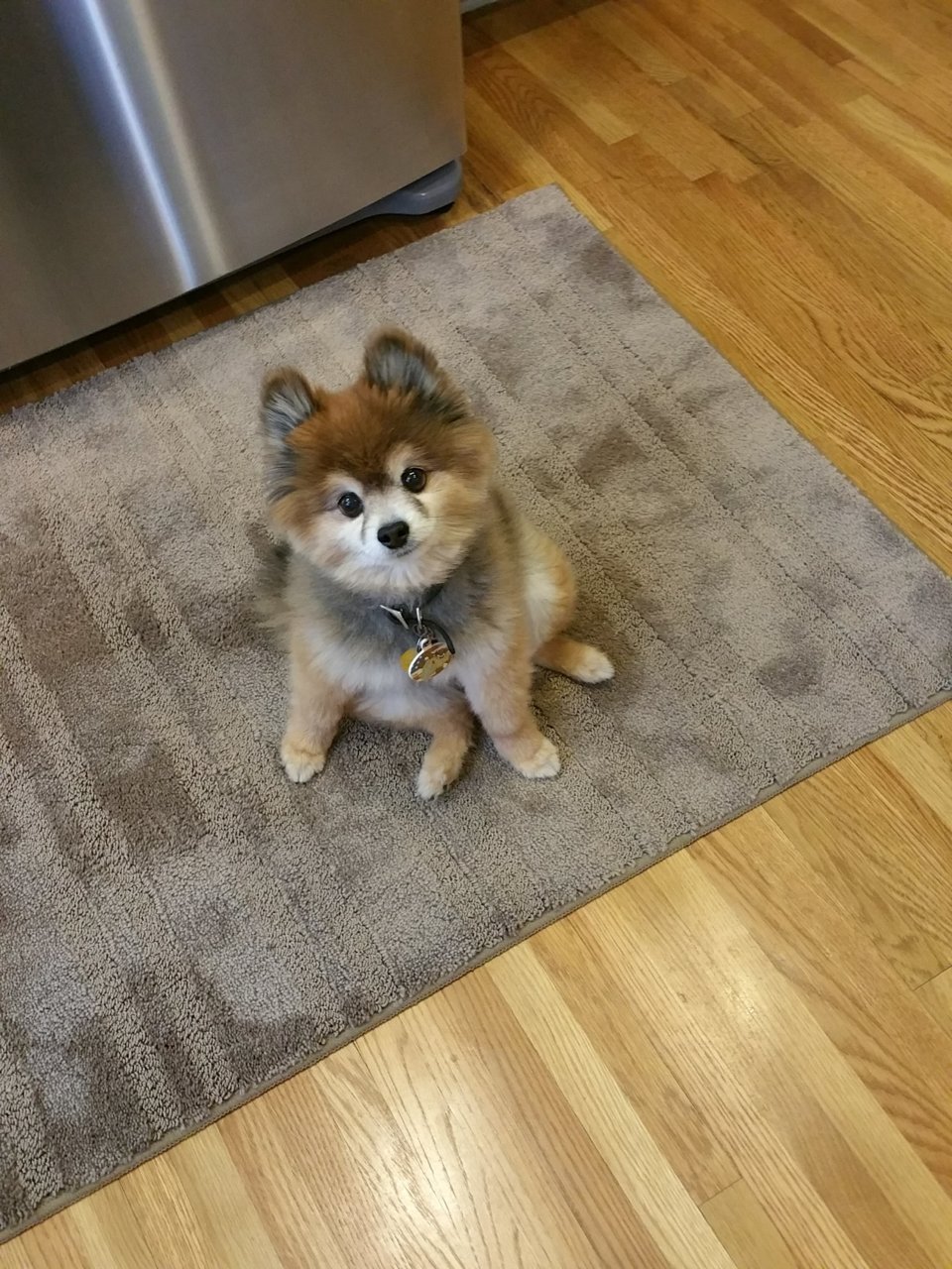 20171208_083845.jpg