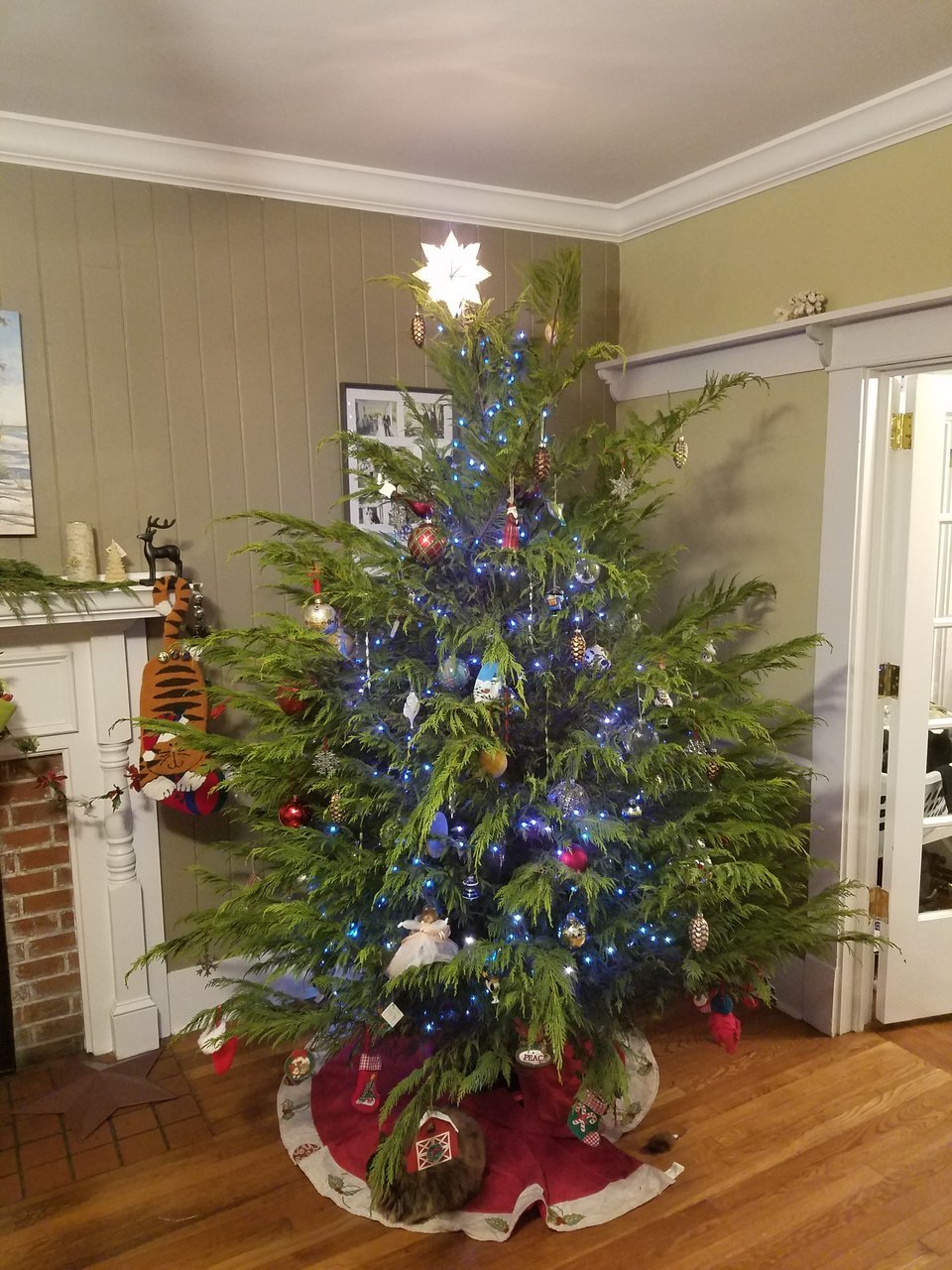 20171208_180412.jpg