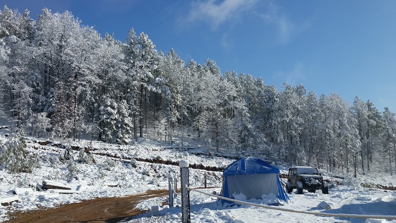 20171209_084845.jpg