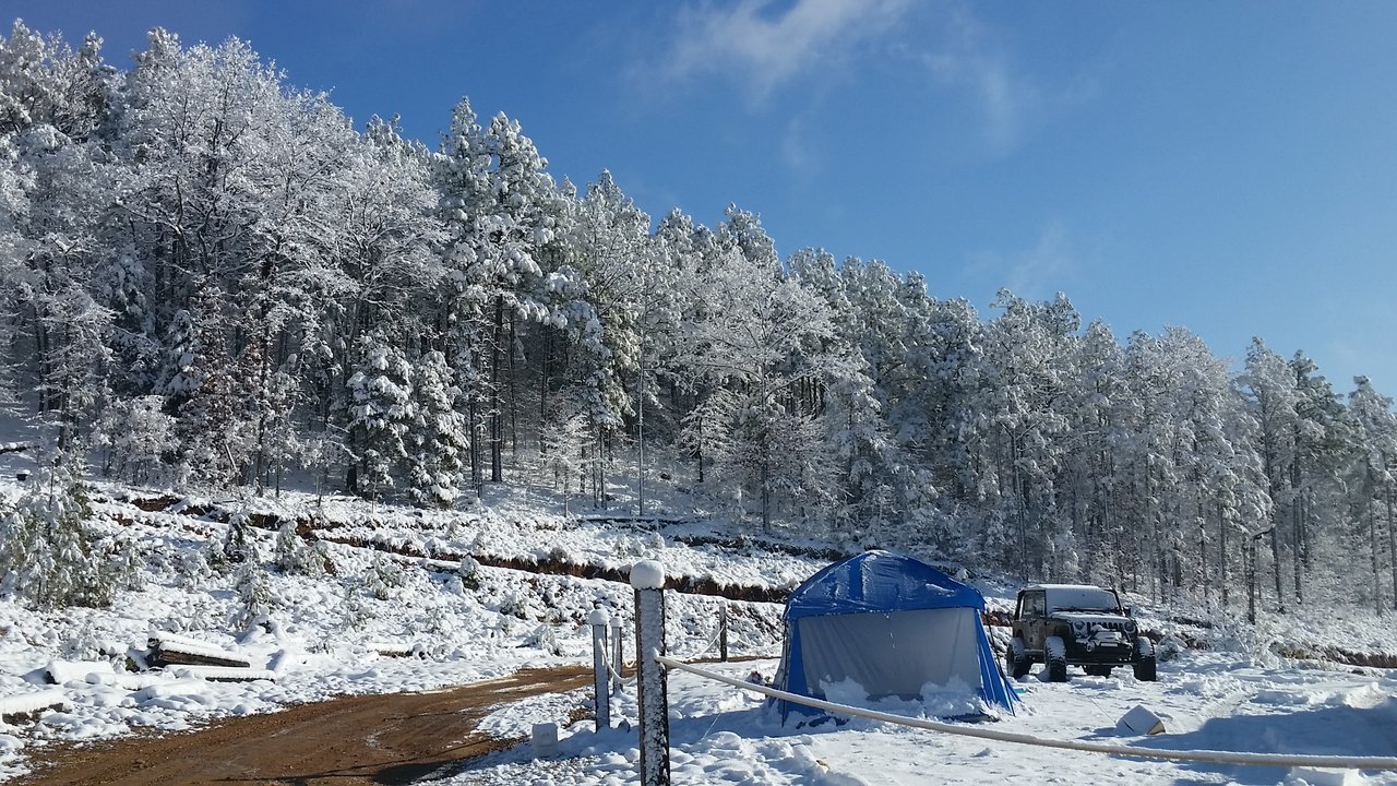 20171209_084847.jpg