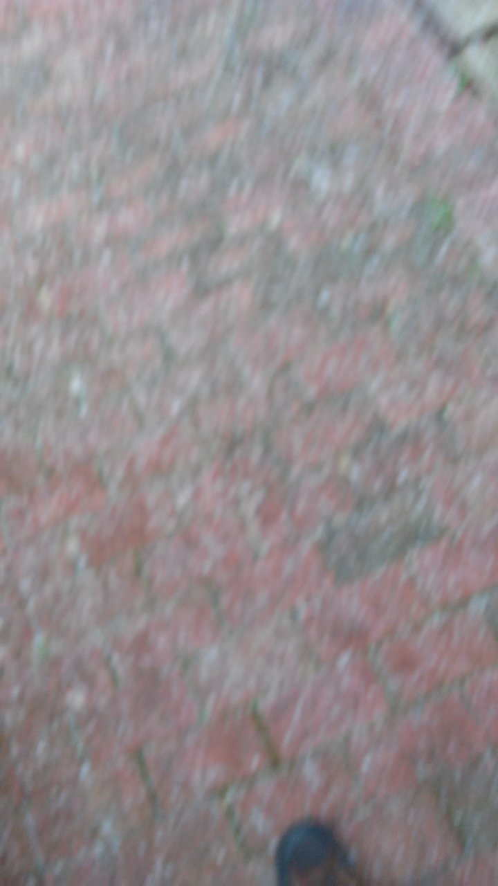 20171209_121111.jpg