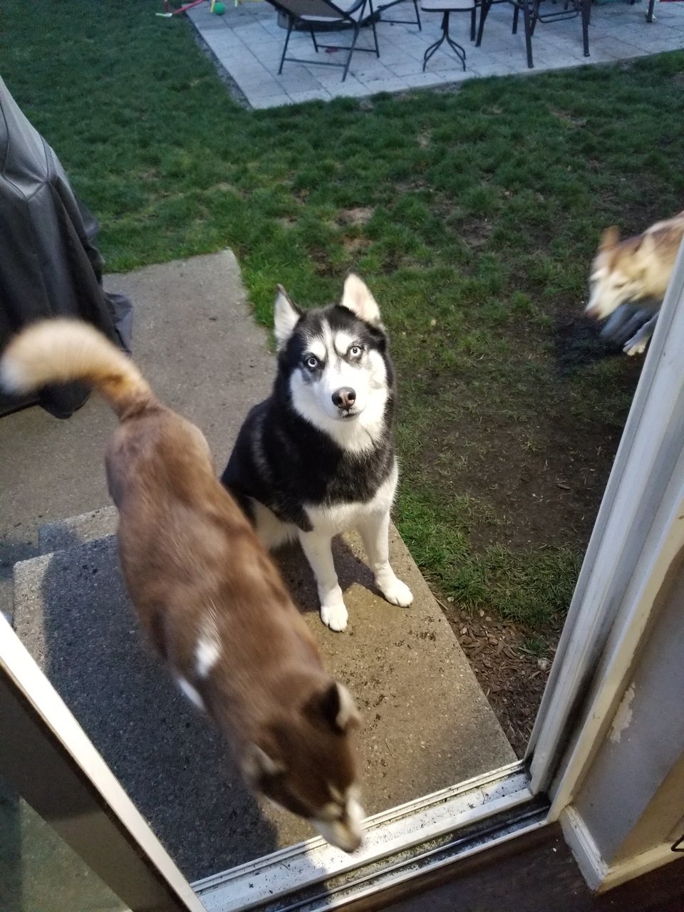 20171209_163524.jpg