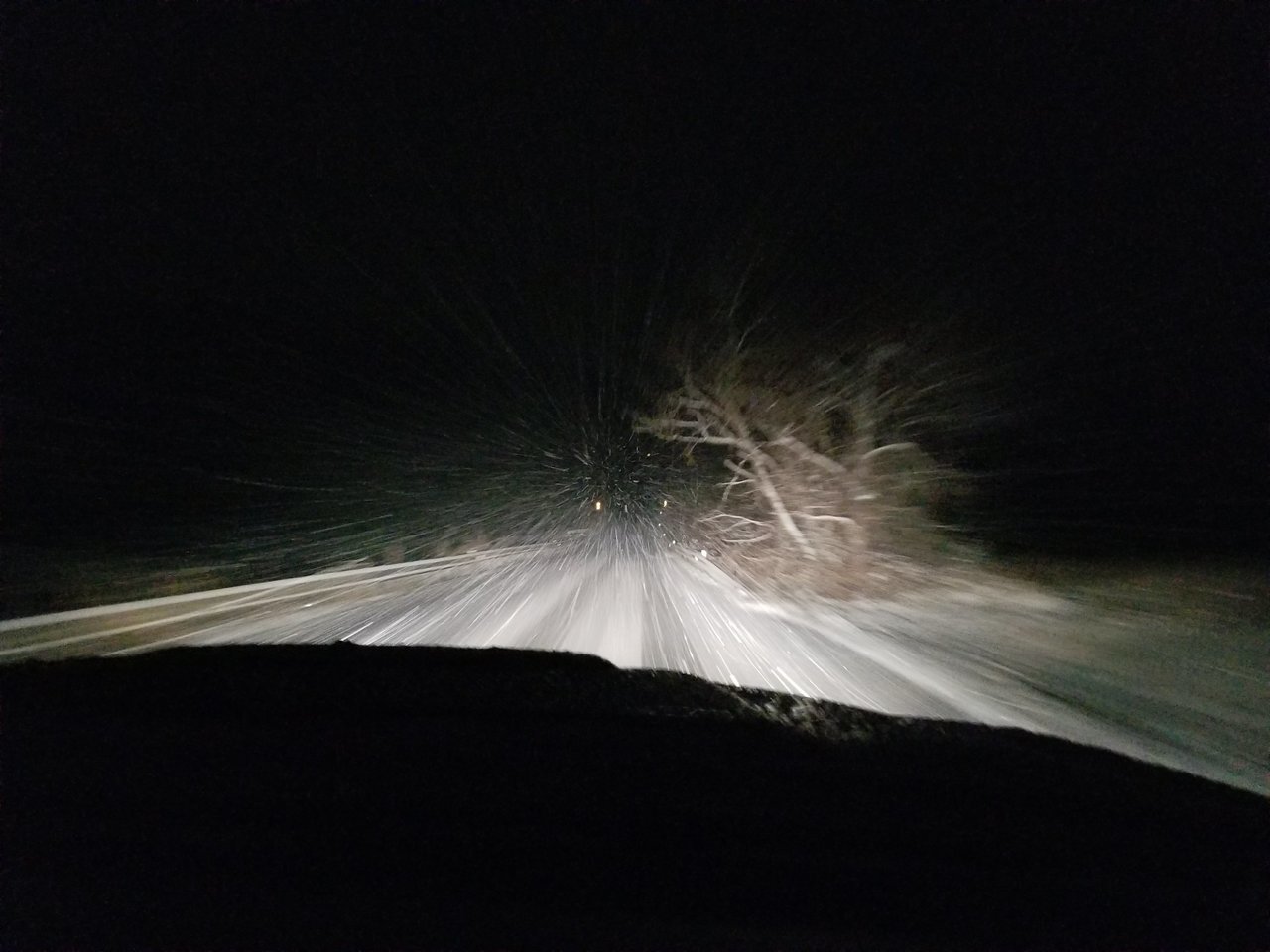 20171209_175221.jpg
