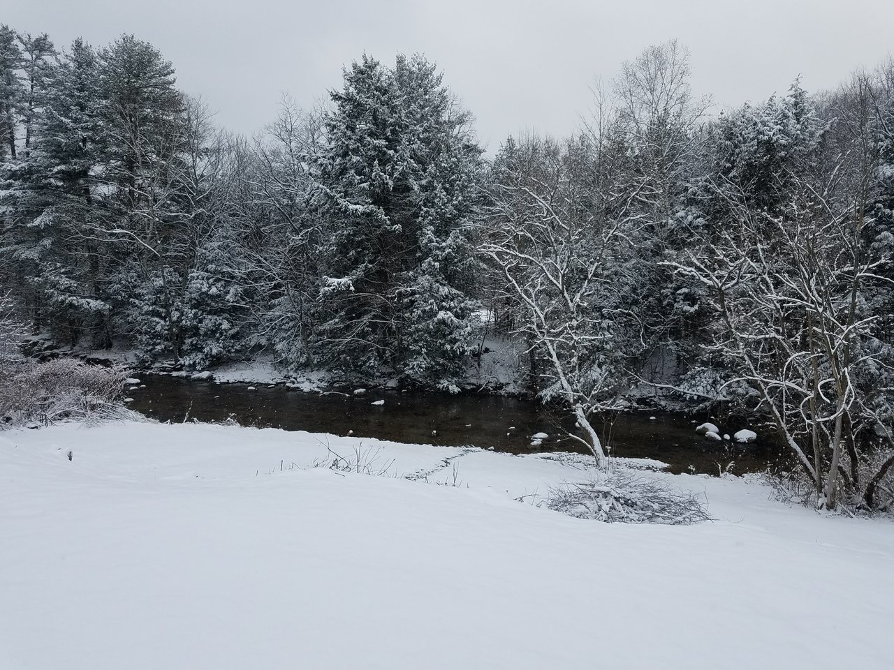 20171210_092741.jpg