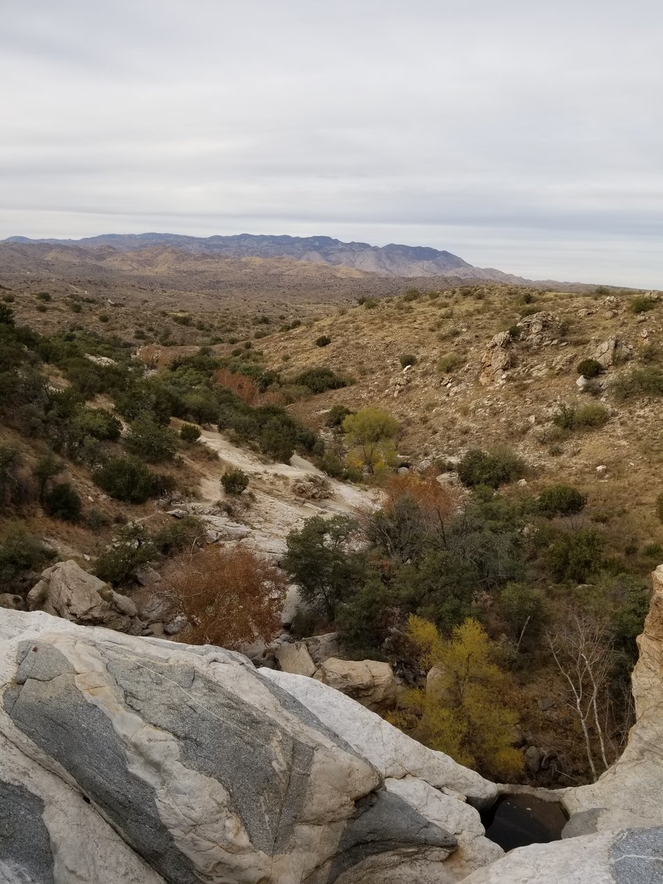 20171210_153129.jpg