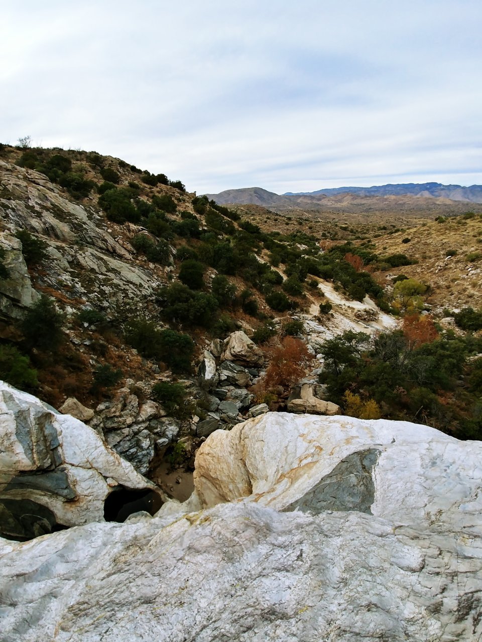 20171210_153334_HDR.jpg