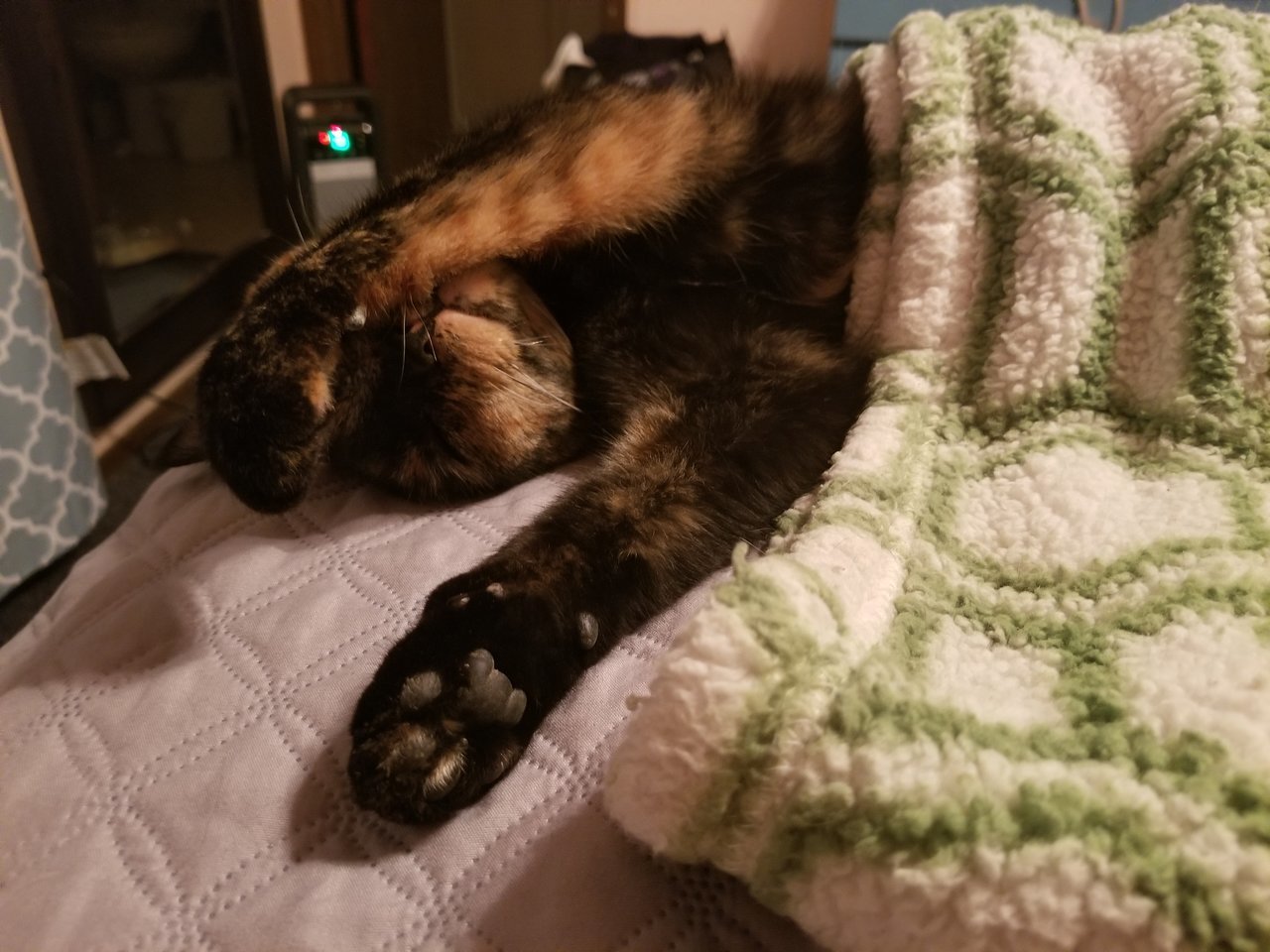 20171211_222450.jpg