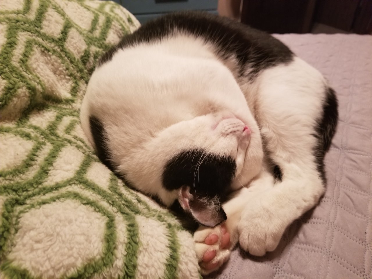 20171211_222459.jpg