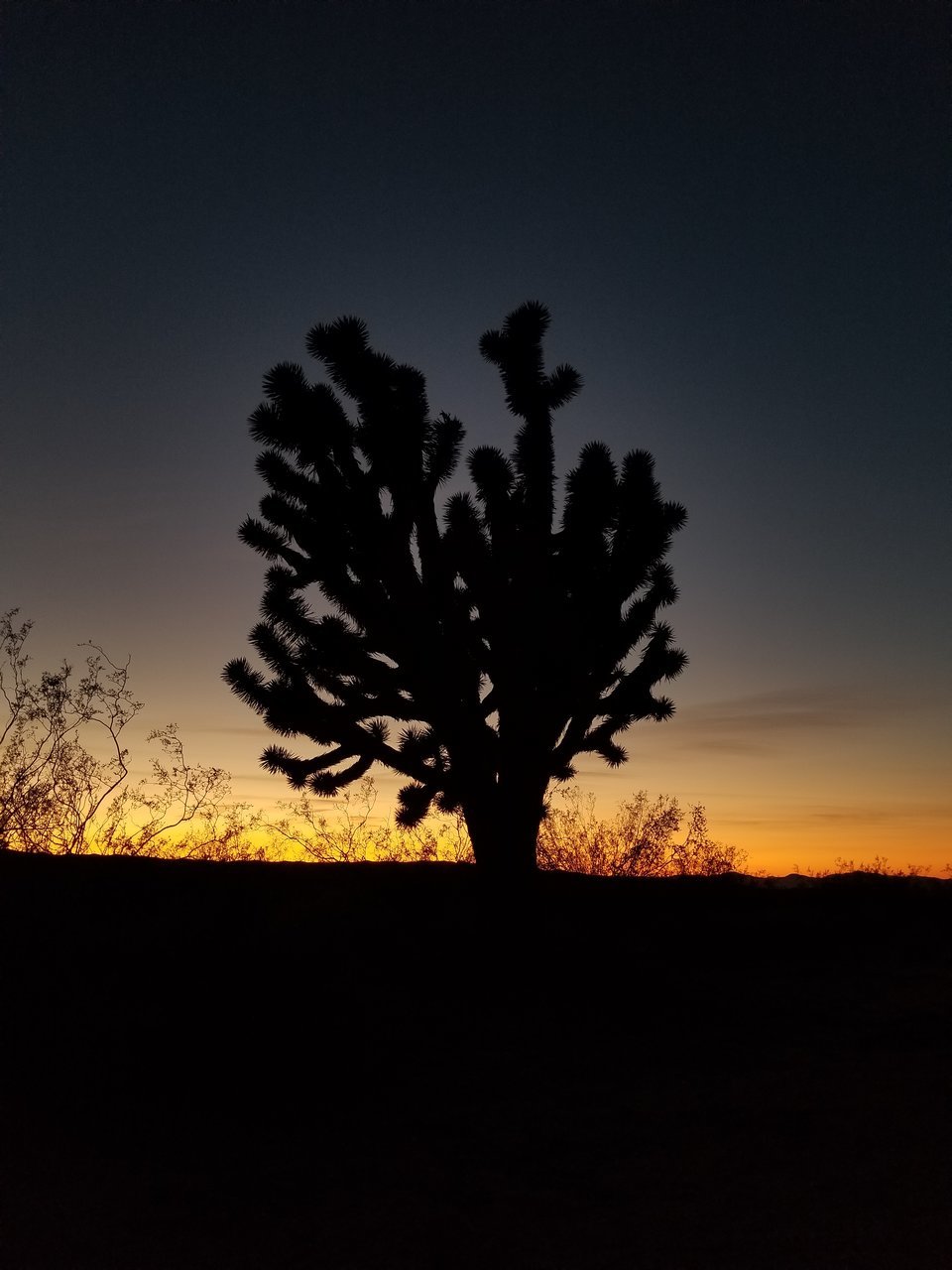 20171212_165944.jpg