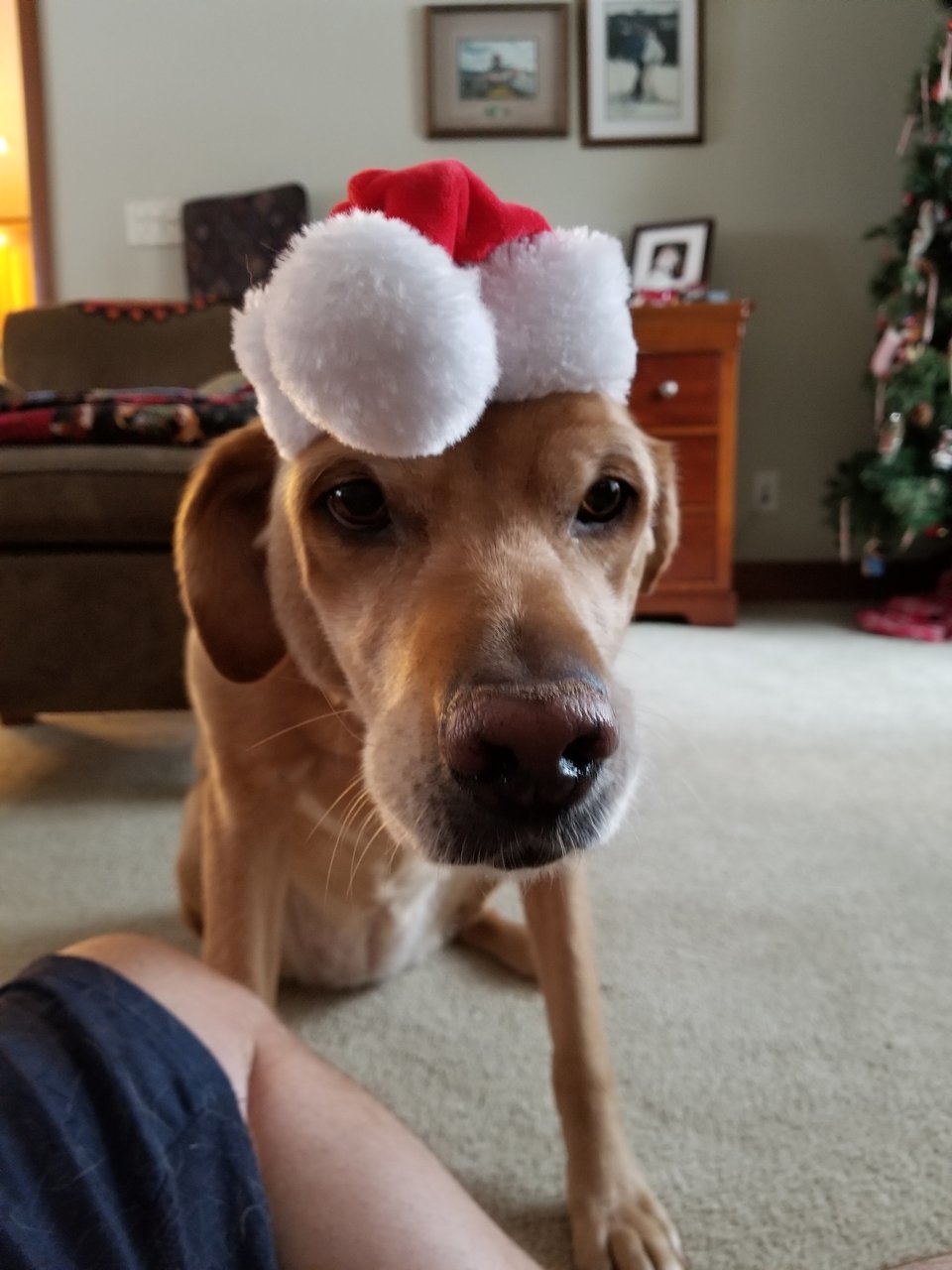 20171213_110336.jpg