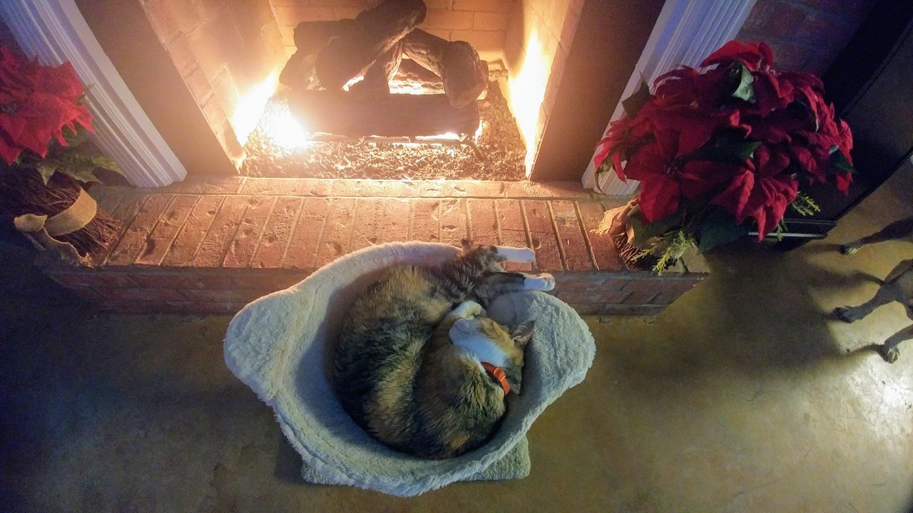 20171213_161033.jpg