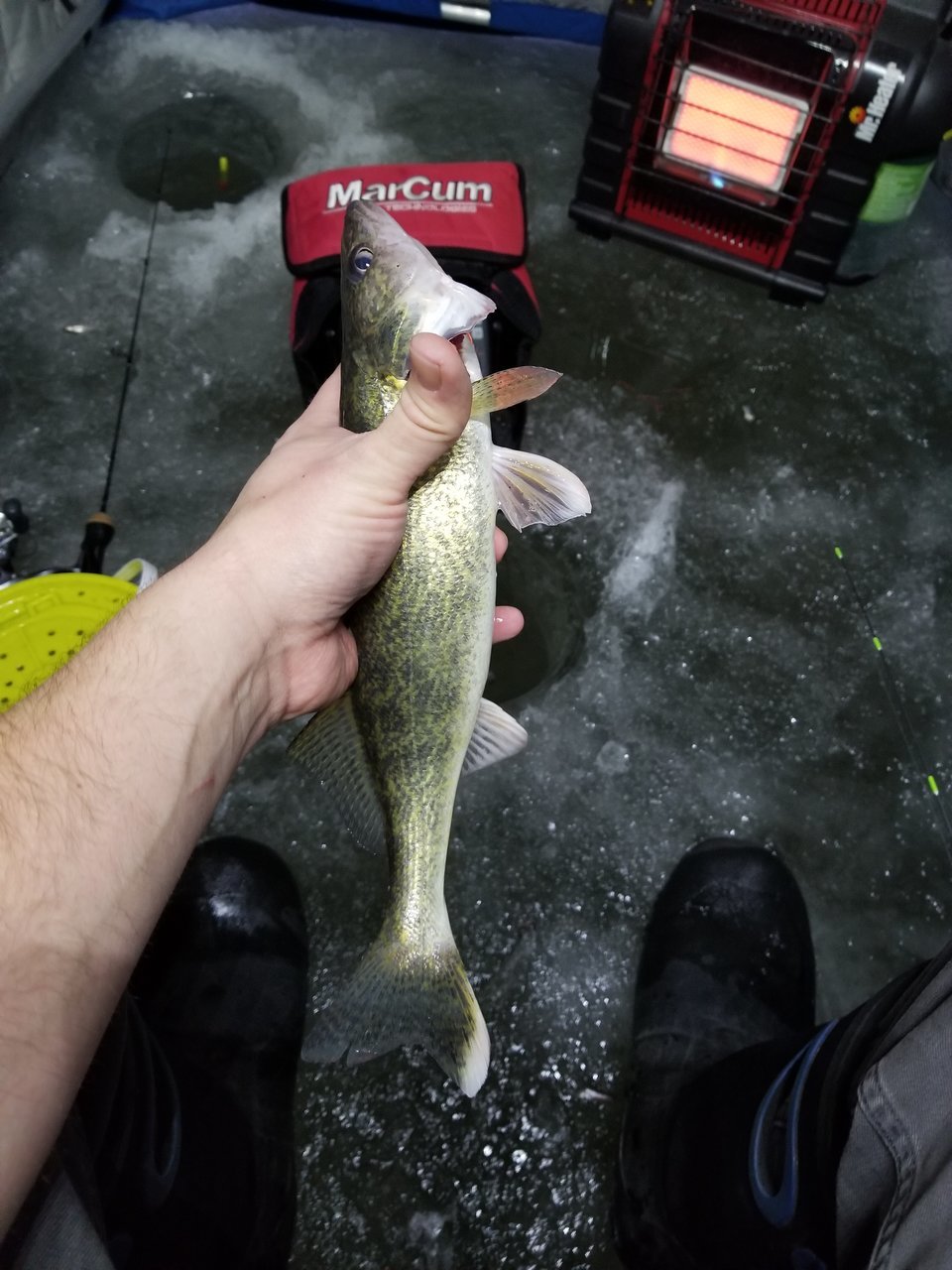 20171214_165047.jpg