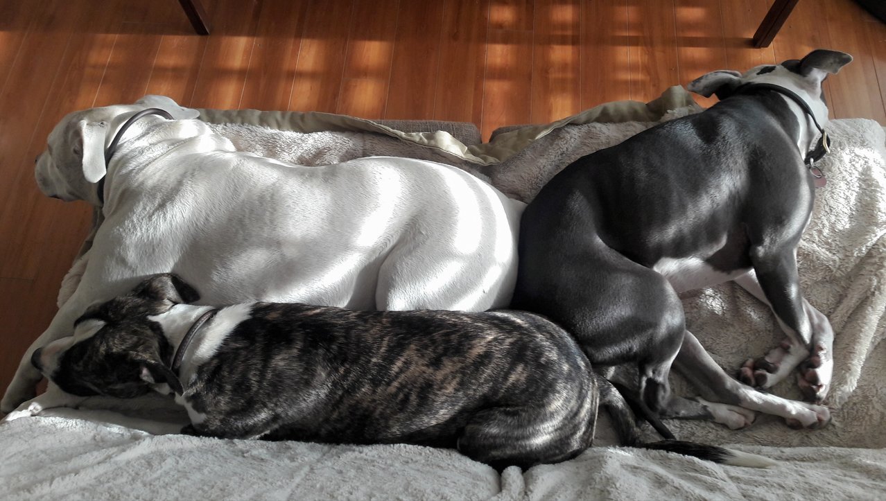 20171215_103858.jpg