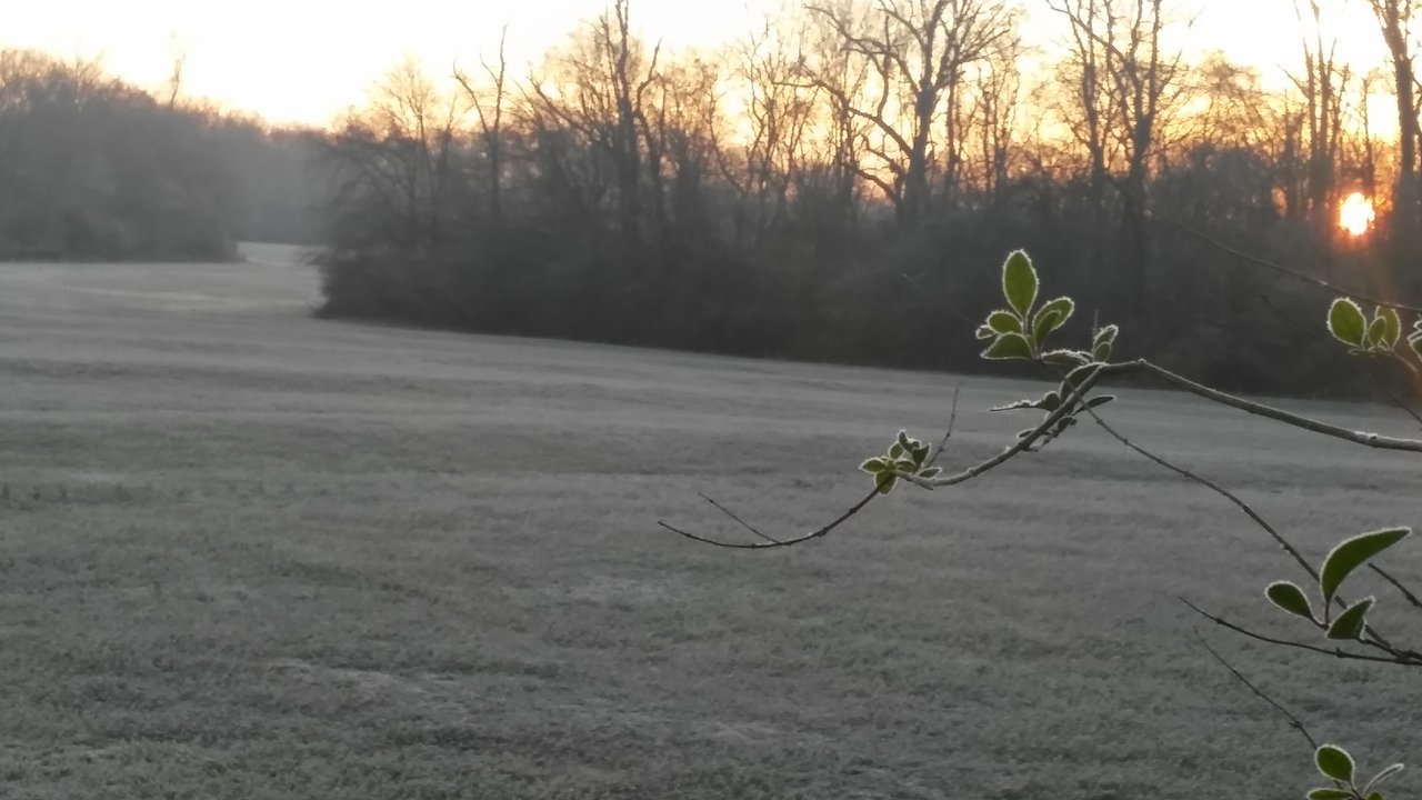 20171216_065438_HDR.jpg