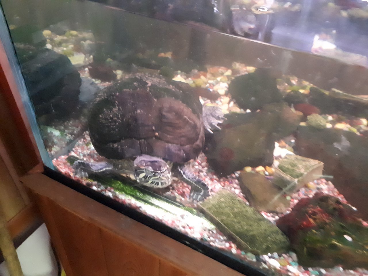 20171216_100033.jpg
