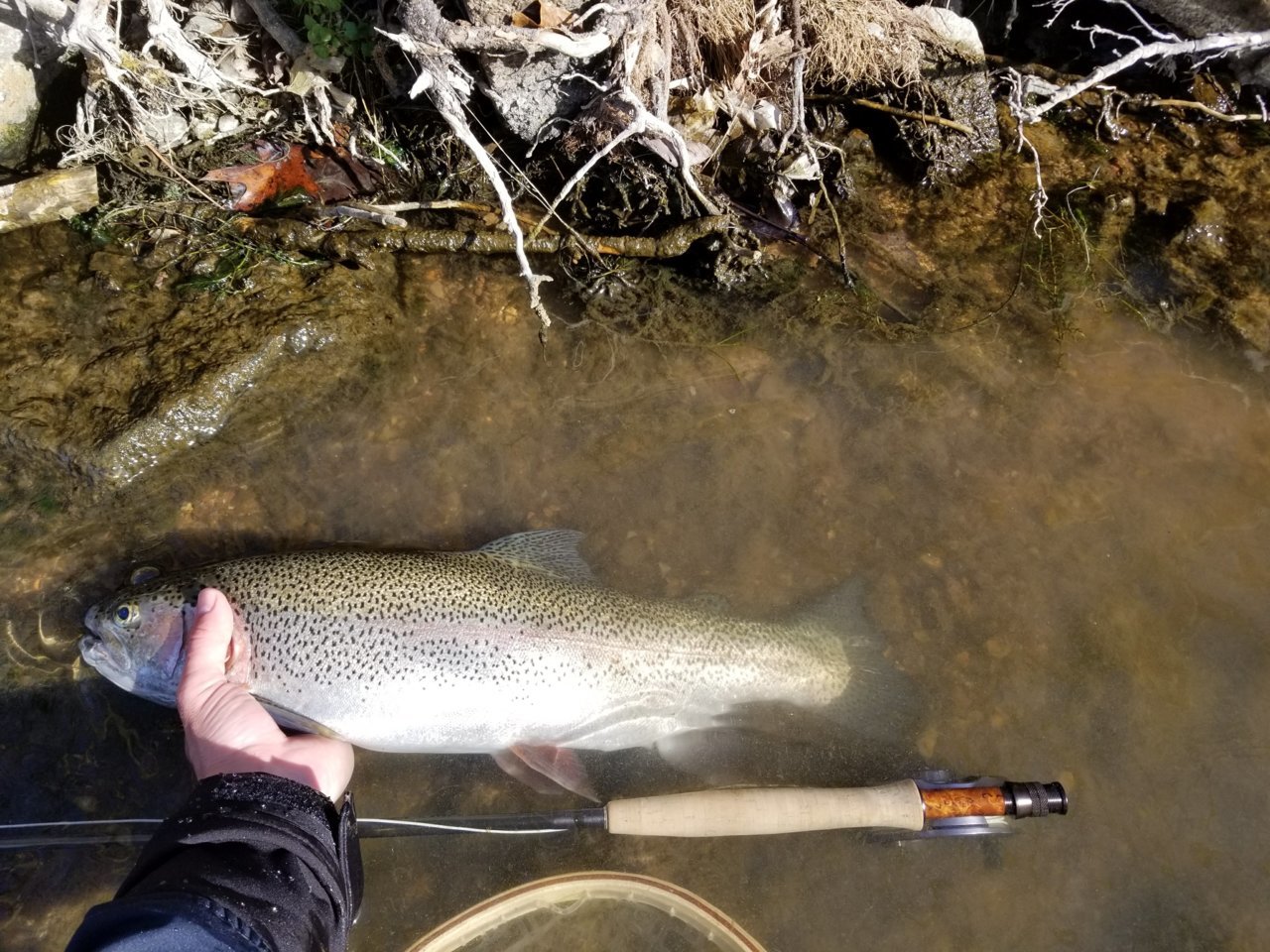 20171216_112627.jpg