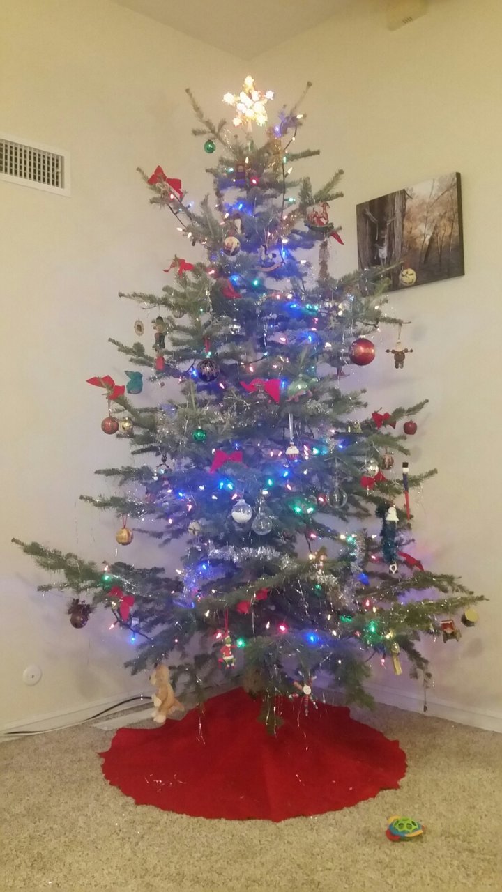 20171217_185214.jpg