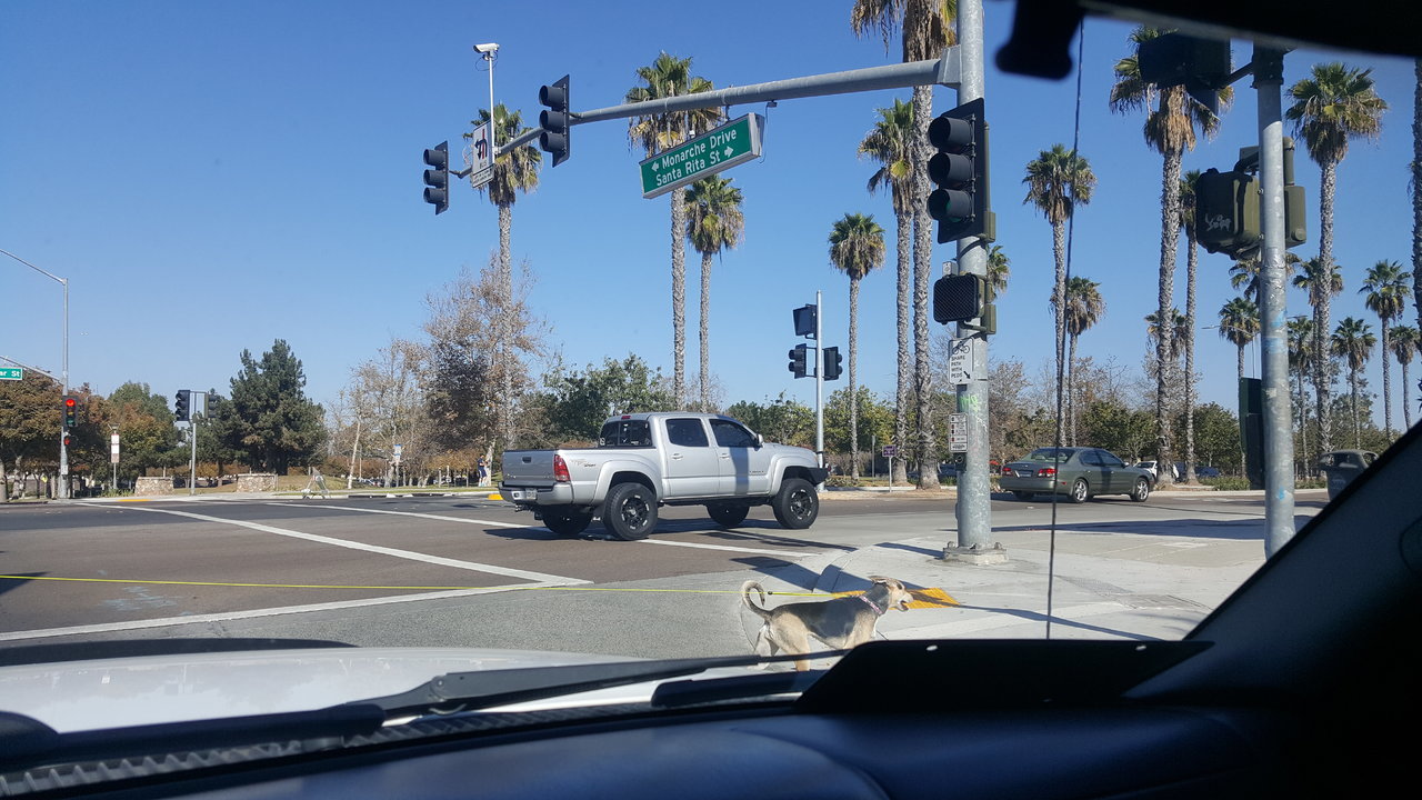 20171219_115352.jpg