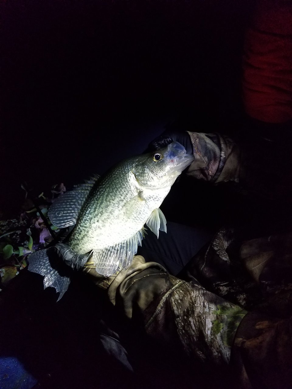 20171221_202536.jpg