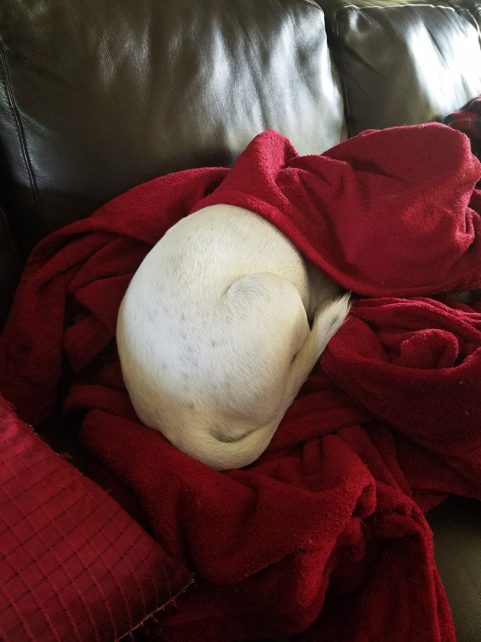 20171222_094137.jpg