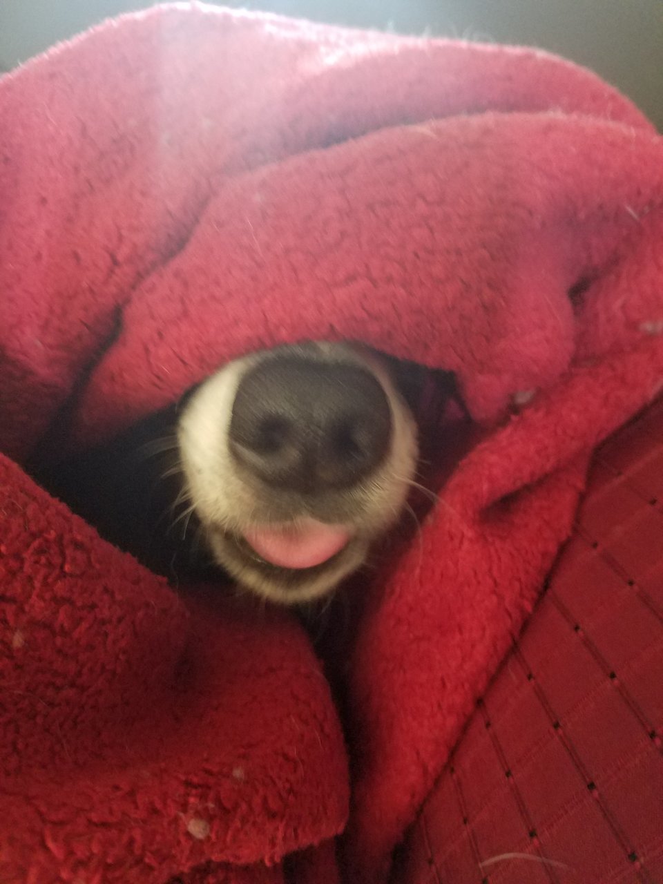 20171222_103257.jpg