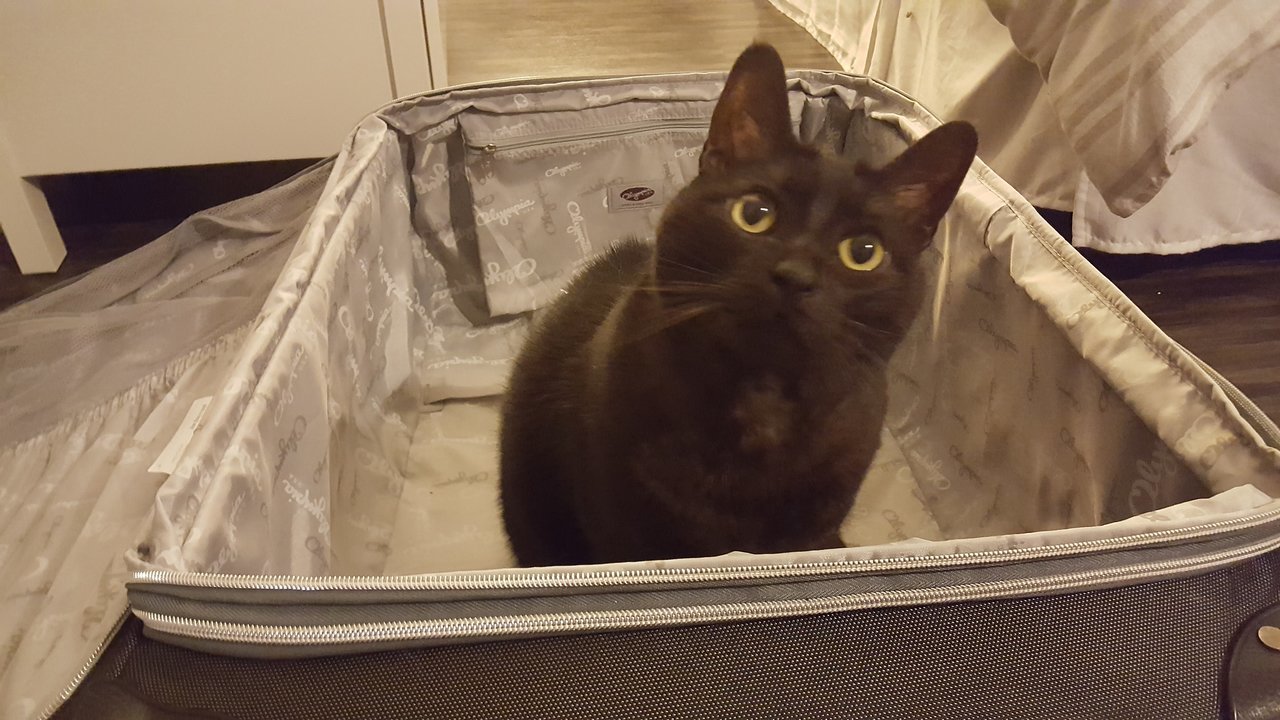 20171222_220931.jpg