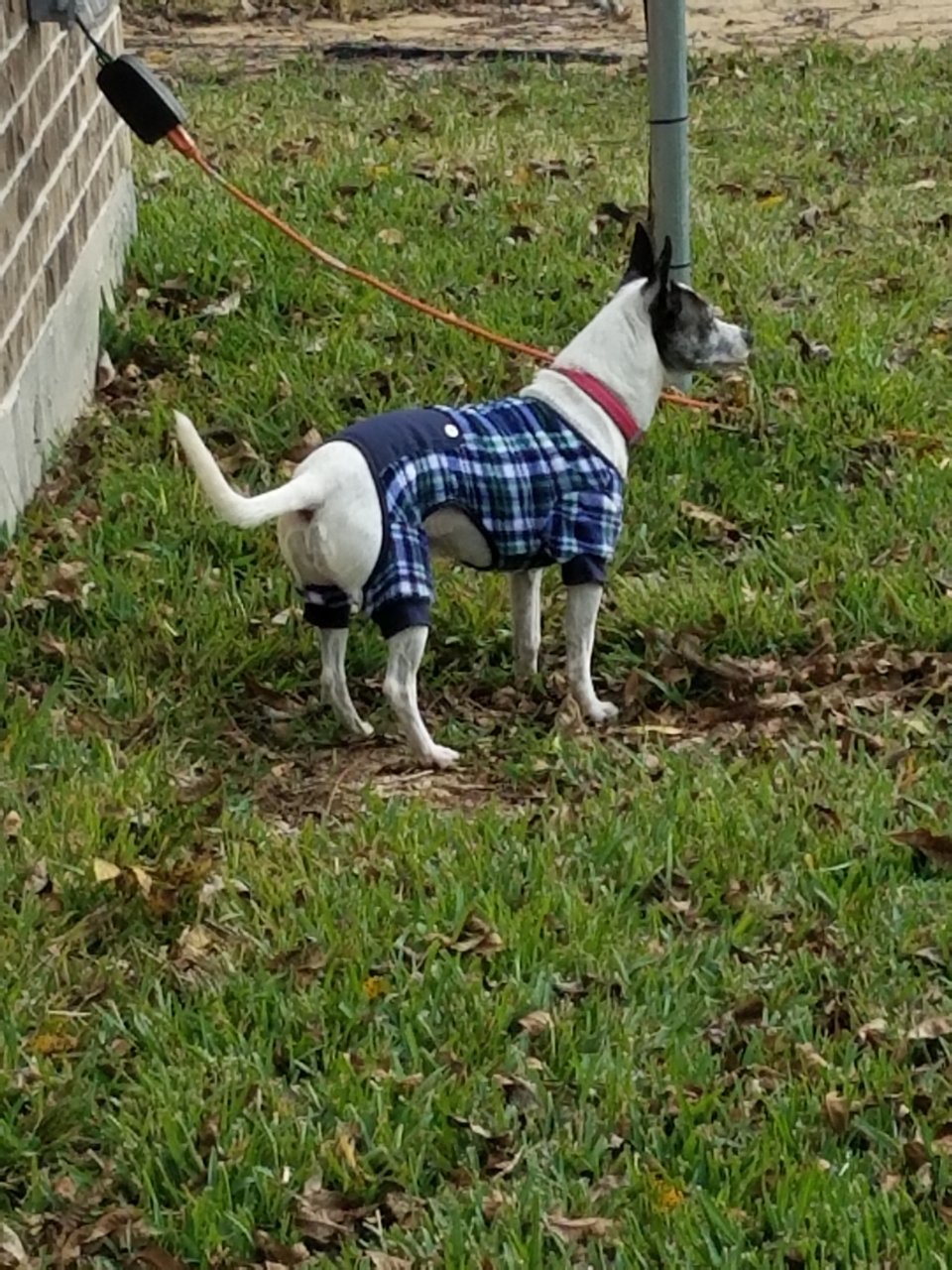 20171223_100927.jpg