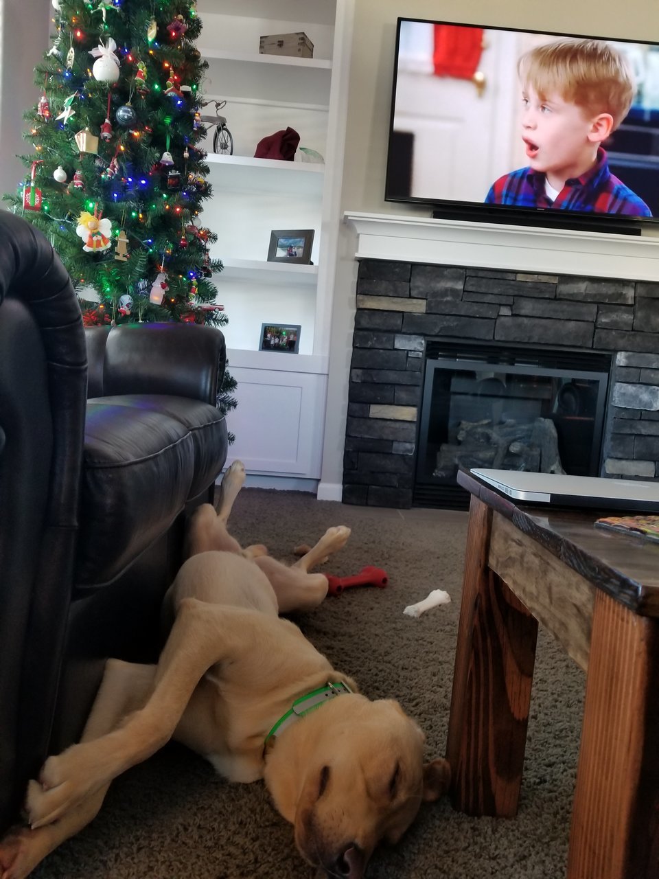 20171223_103200.jpg