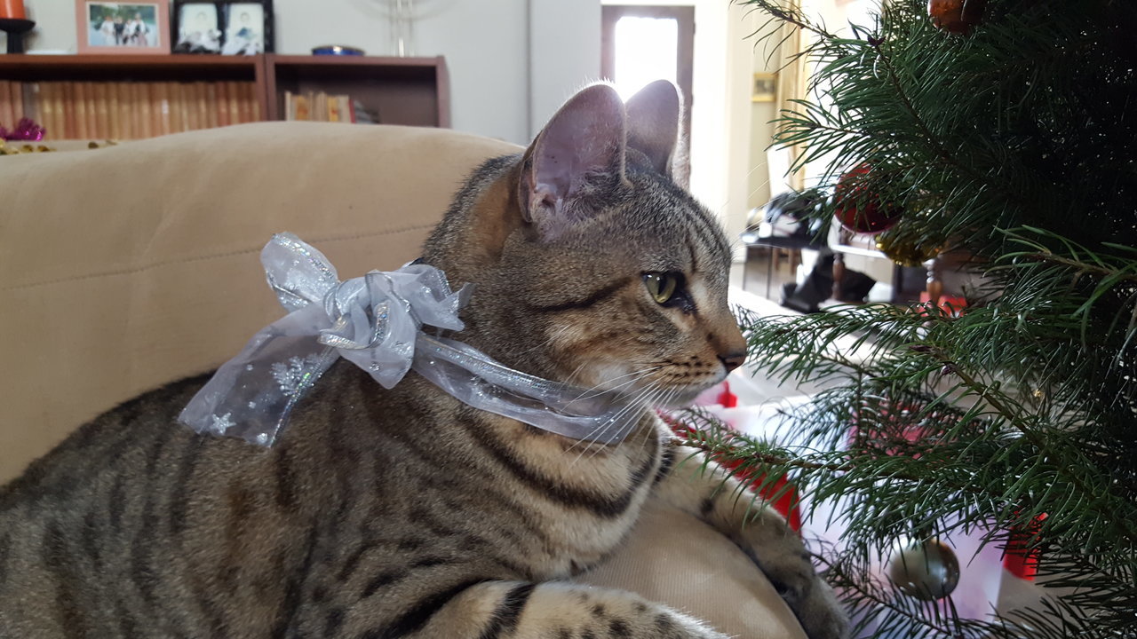 20171223_125357.jpg