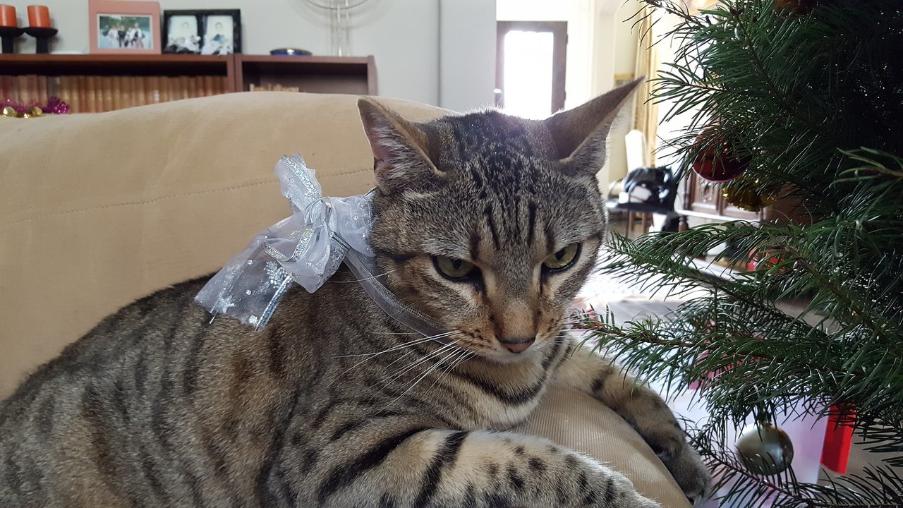 20171223_125400.jpg