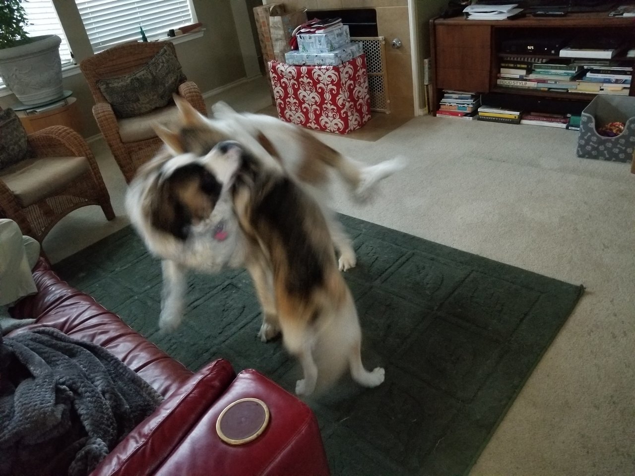 20171224_092539.jpg