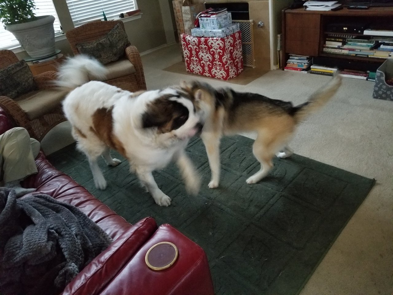 20171224_092545.jpg