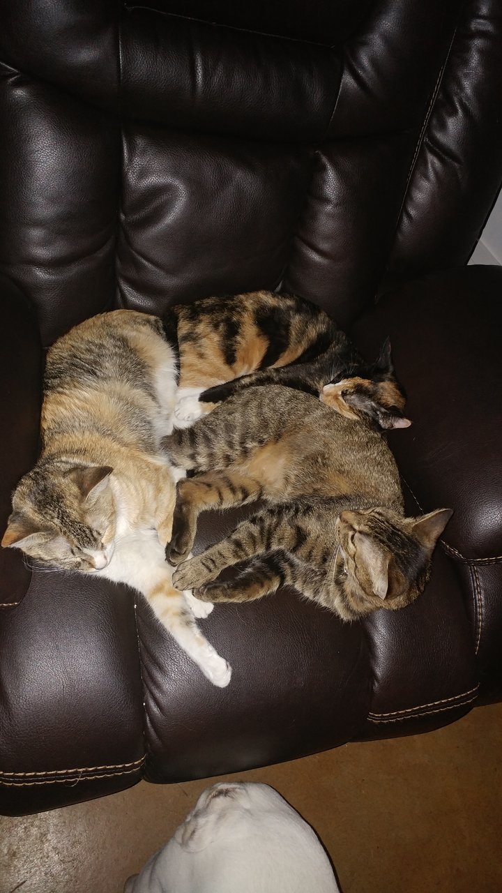 20171224_182842.jpg