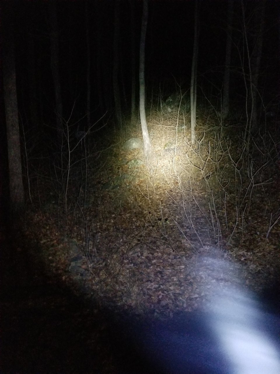20171224_201308.jpg