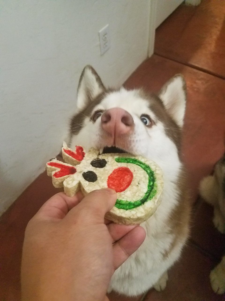 20171225_071628.jpg