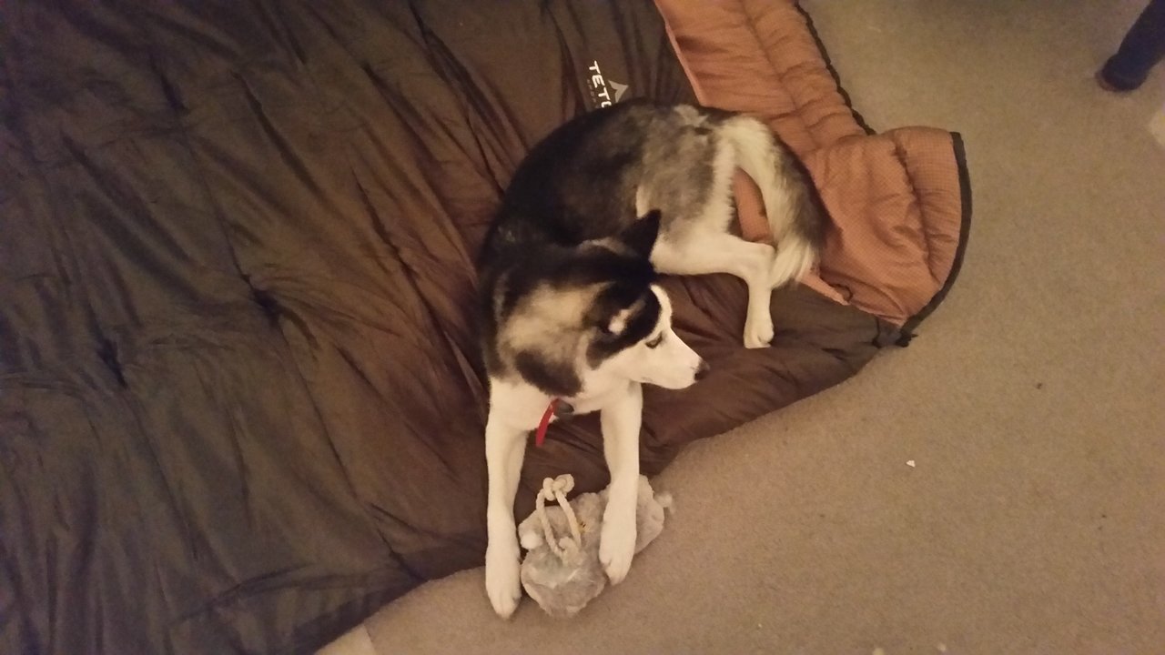 20171226_220022.jpg