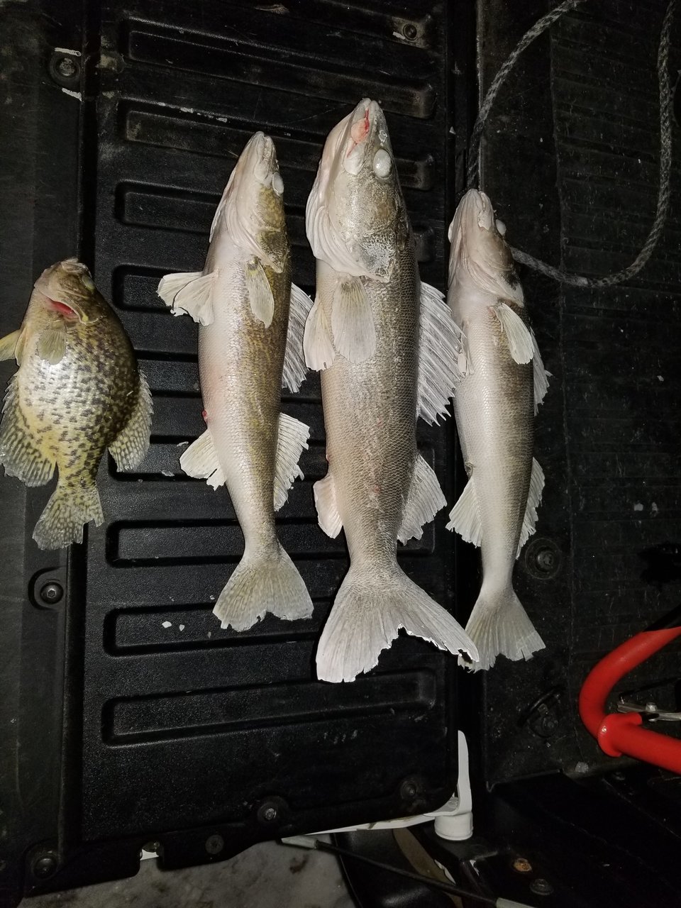 20171226_220049.jpg