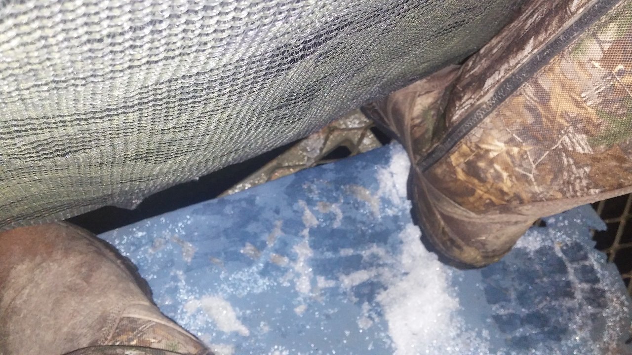 20171227_063412.jpg