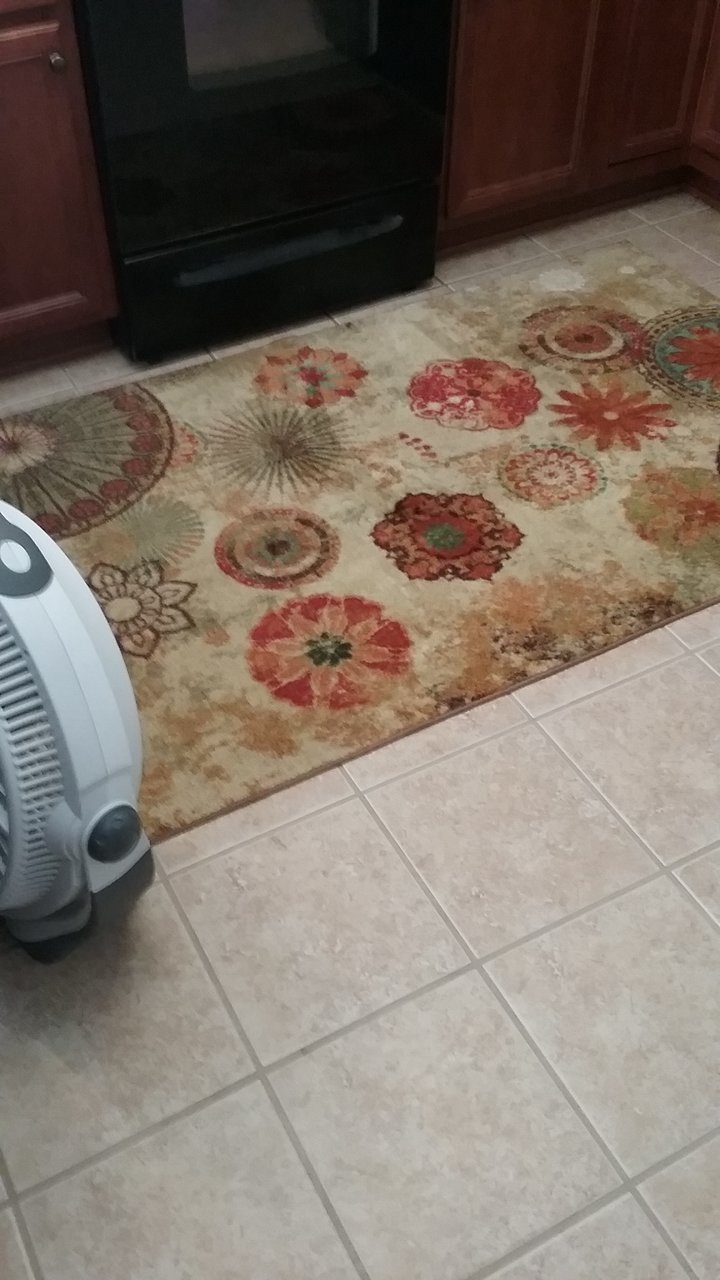 20171228_125330.jpg
