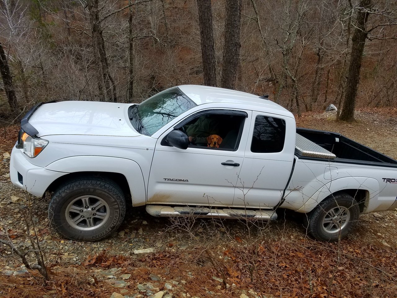 20171228_143805.jpg