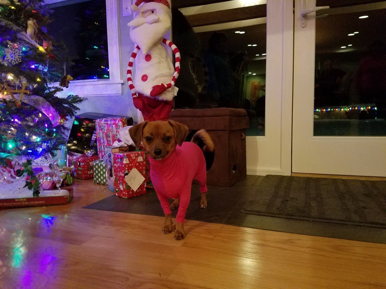 20171228_174949.jpg