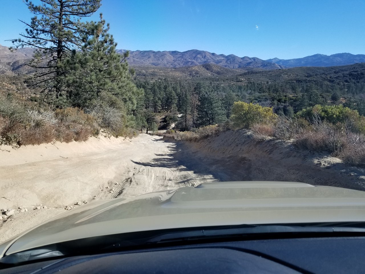 20171229_105155.jpg
