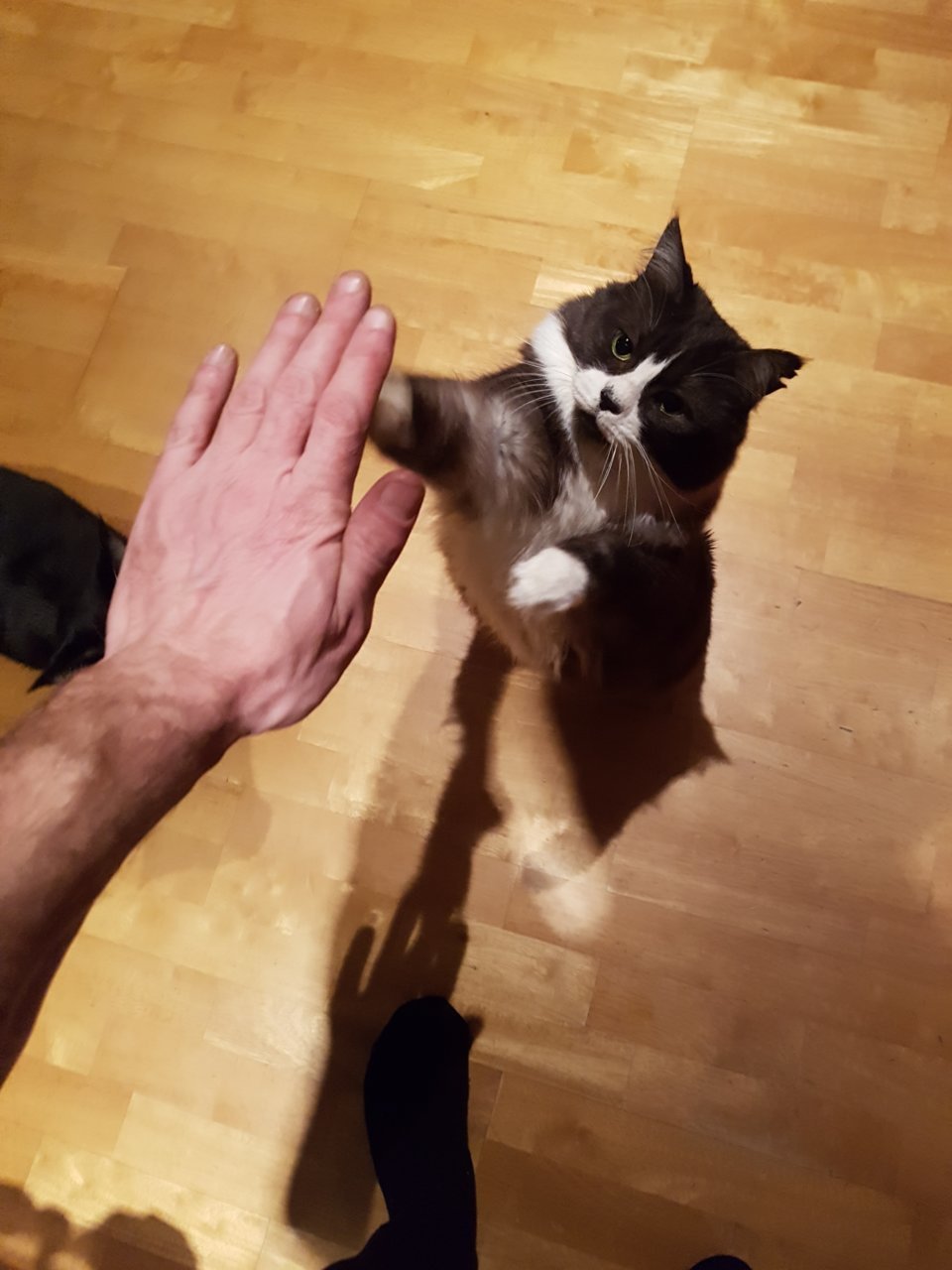 20171229_173647.jpg