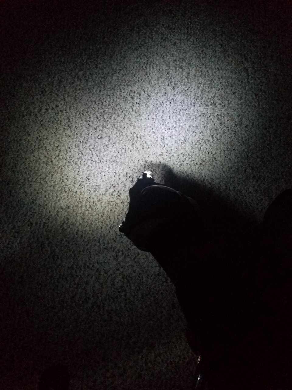 20171230_105858.jpg