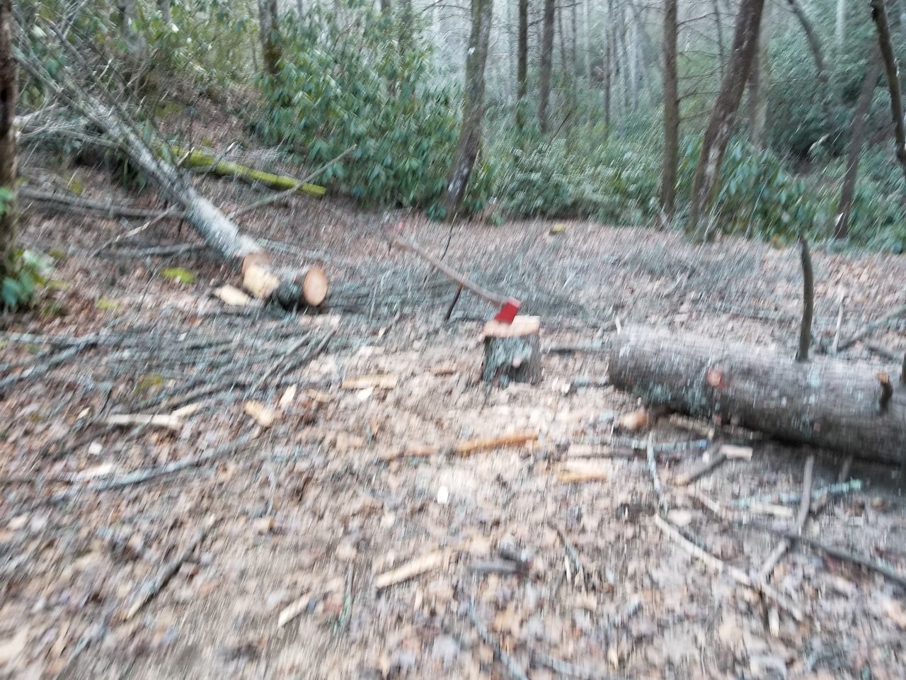 20171230_163701.jpg