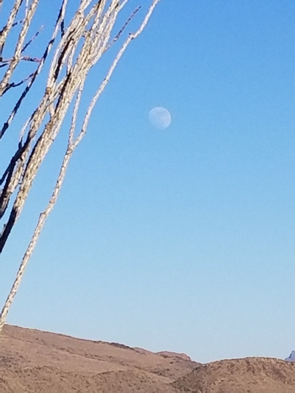 20171230_164352.jpg