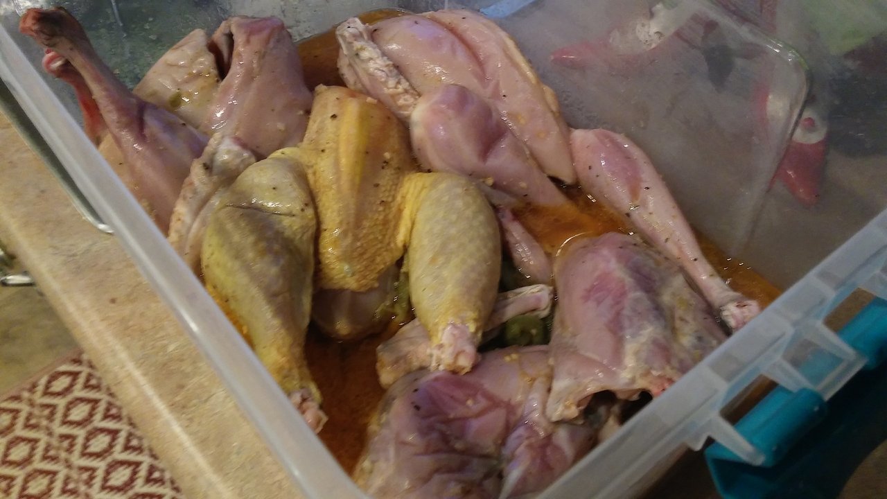 20171231_071308.jpg