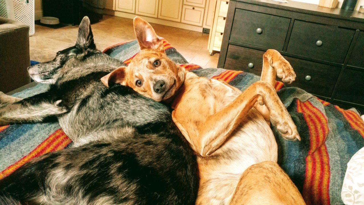 20171231_100310.jpg