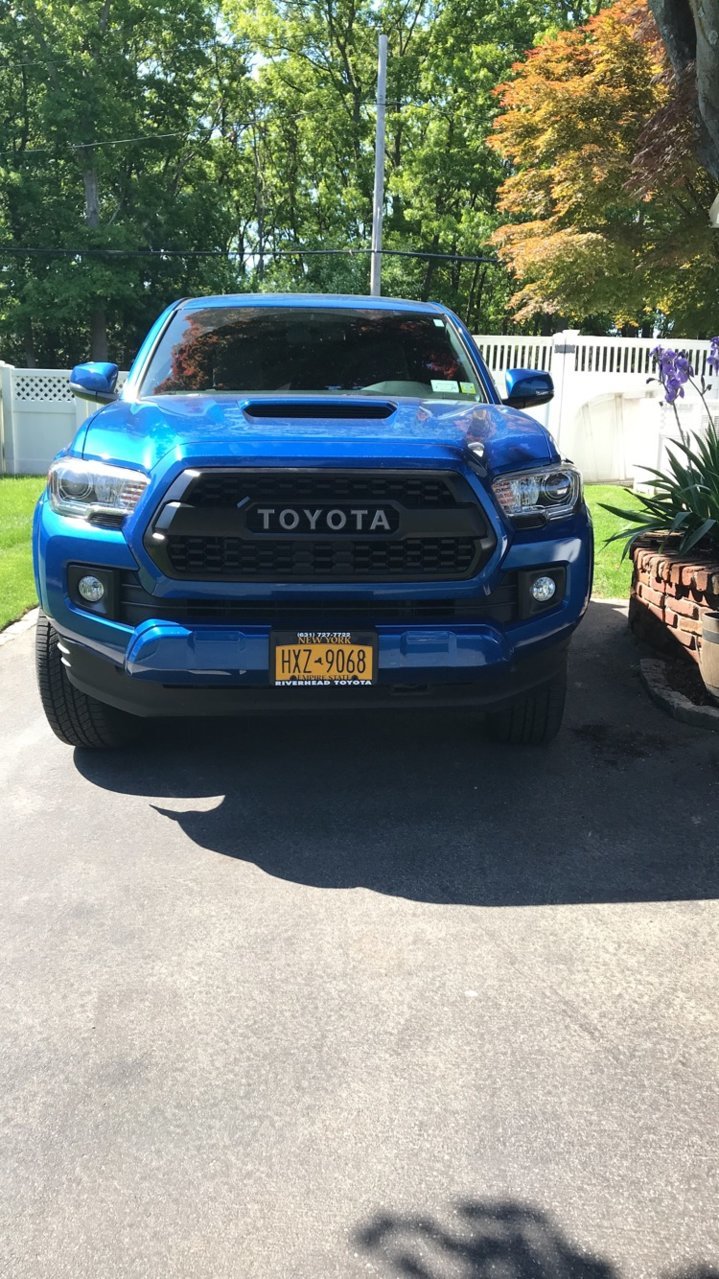 201765A7-B50F-462F-B596-08CA95003C7A.jpg