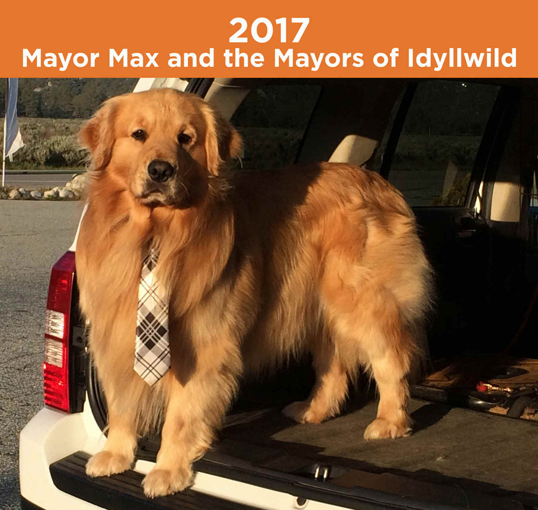 2017ca37.jpg